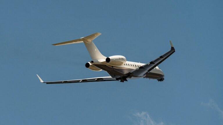 Weekly weakness meets strong monthly activity in bizjet market