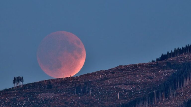 What’s Up: August 2026 Skywatching Tips from NASA What’s Up: August 2026 Skywatching Tips from NASA