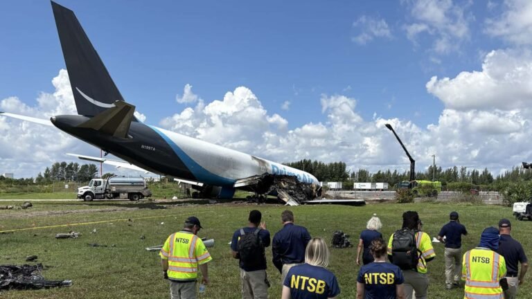 Amazon-Frachter in Miami: Haarsträubende Pilotenleistung kostete 5 Menschenleben F-35A im Flug Detail Bug