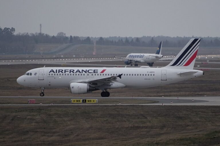 Crew of Air France flight to Paris reported several cockroaches were discovered in the cabin Crew of Air France flight to Paris reported several cockroaches were discovered in the cabin