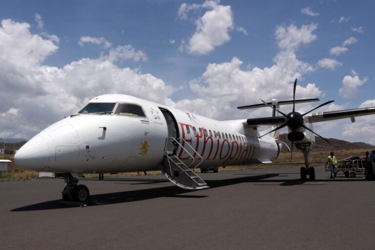 Ethiopian Airlines halts flights after airport seizure Ethiopian Airlines halts flights after airport seizure