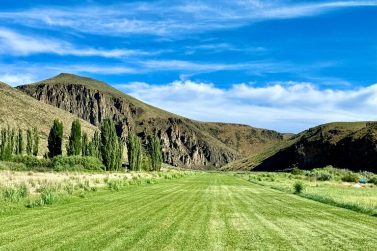New public backcountry aviation access has opened at the 45 Ranch in Idaho’s Owyhee Canyonlands. [Credit: Jim Richmond Backcountry Aviation Foundation]