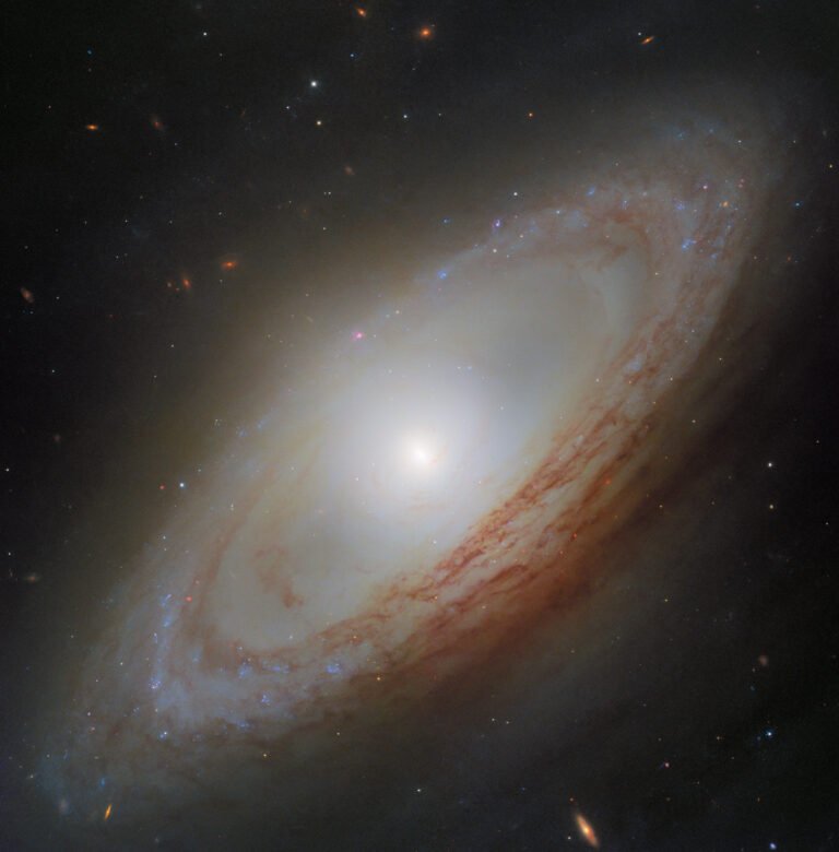 A spiral galaxy viewed at an angle, with a bright central bulge and winding spiral arms. The arms form a ring around the galaxy, without appearing to reach its center. Prominent red-brown dust lanes weave through the arms, which are also dotted with bright blue and reddish regions of star formation. The galaxy is set against a dark background scattered with stars and faint distant galaxies.