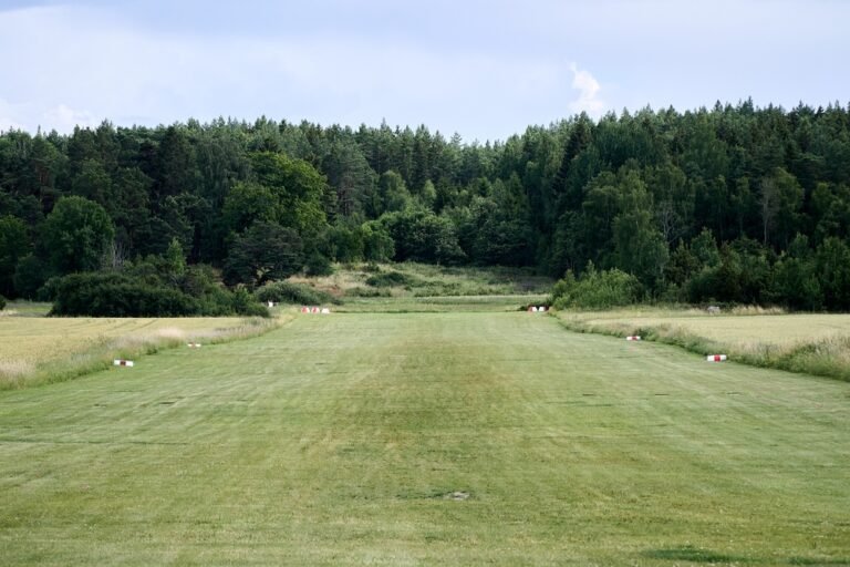 Neighbors Fight BETA CEO’s Airstrip Neighbors Fight BETA CEO’s Airstrip