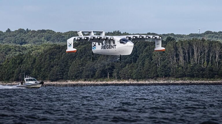 Regent Viceroy flying above water