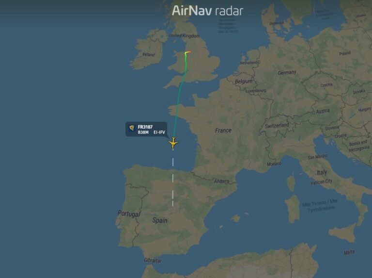 Ryanair Boeing 737 MAX 8 is requesting inspection in Madrid after possible birdstrike on takeoff