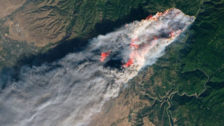 The warmest summer on record — 2026 hit a scorching new high in the US A view of a wildfire with smoke from a satellite's point of view.