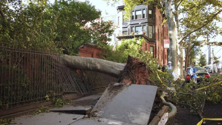 Cotality puts Isaias losses at up to $3bn Isaias became the first Atlantic hurricane in two years to make landfall in North America.