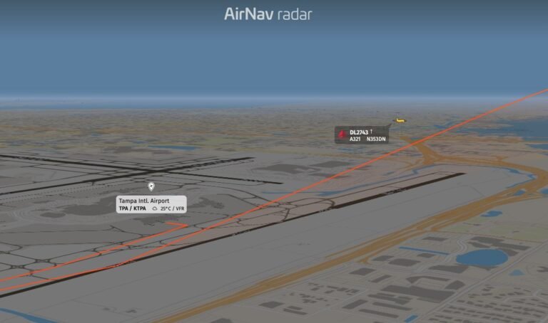 Delta pilots reported that the A321 nosewheel ran over a baby opossum during takeoff from Tampa