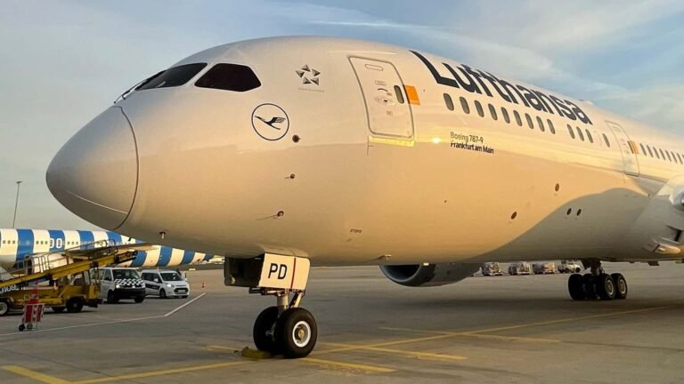 Boeing 787-9 der Lufthansa mit 100-Jahre-Sonderlackierung beim Überflug des Frankfurter Flughafens