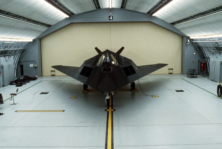 Smithsonian Puts Combat-Veteran F-117 on Display Smithsonian Puts Combat-Veteran F-117 on Display