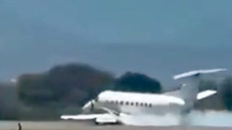 Tanzania safari plane lands after reported zebra strike